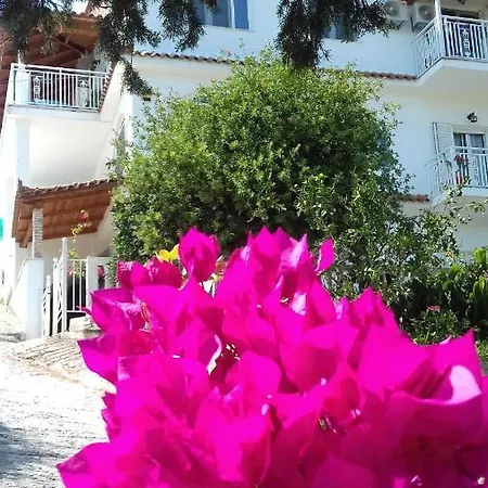 Apartment Ariadna 1 Zakynthos Town